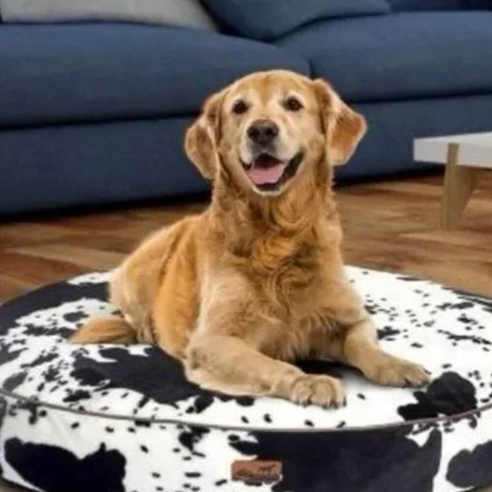 Ridge Creek Cow Print Dog Bed